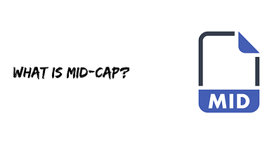 What is Mid-cap?