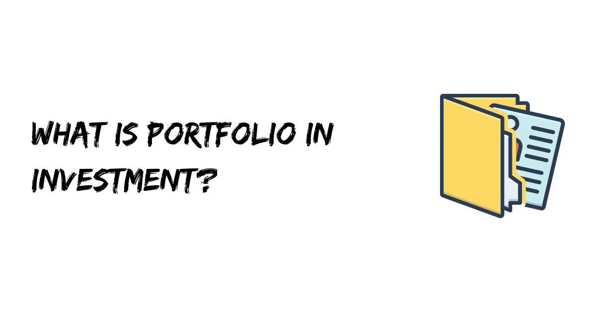 What is Portfolio in Investment?